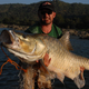 Hump-backed mahseer